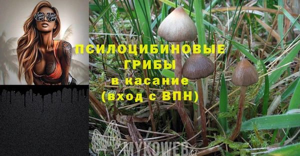 ECSTASY Белоозёрский
