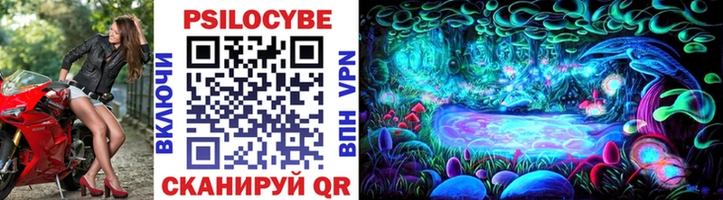 Псилоцибиновые грибы Cubensis  купить наркотик  Высоцк 